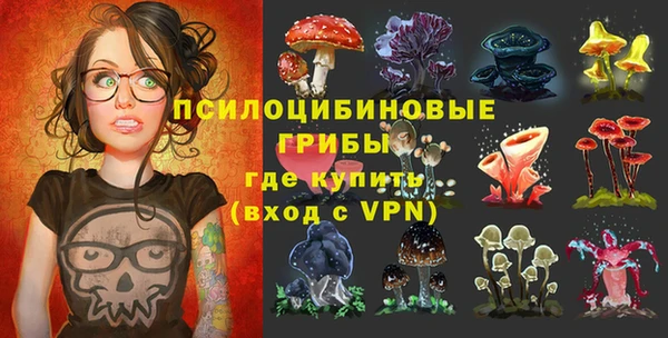 дмт Переславль-Залесский