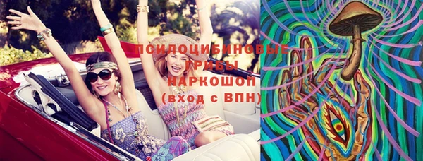 винт Абаза