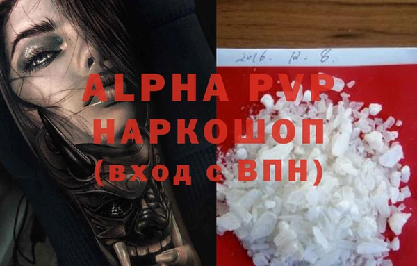 винт Абаза