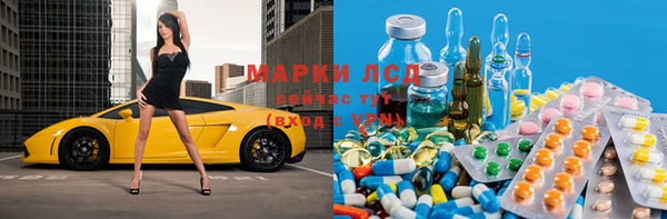 крисы Алексин