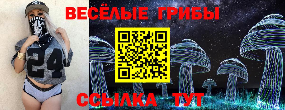 где купить наркоту  Псилоцибиновые грибы мицелий  Вход с VPN  Прохладный 