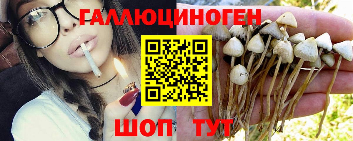 Галлюциногенные грибы мухоморы Прохладный